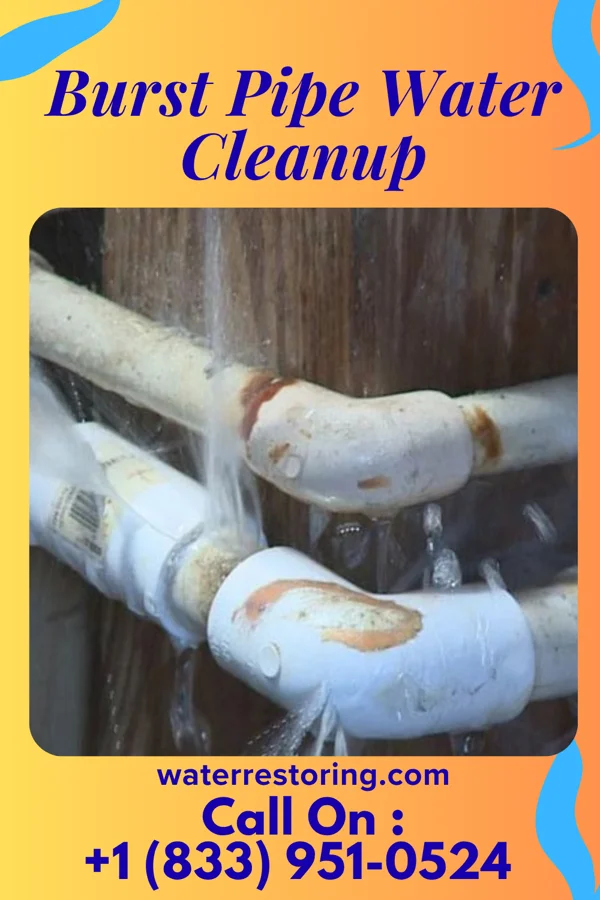 Burst Pipe Water Cleanup in Windsor, IL
