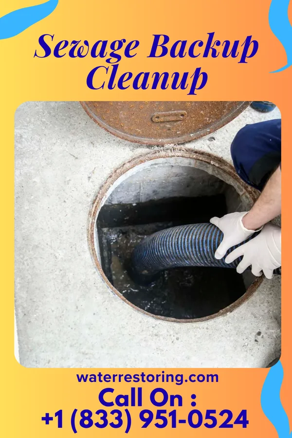 Sewage Backup Cleanup in Windsor, IL