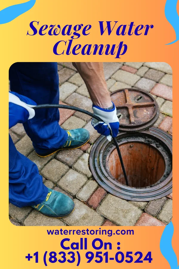 Sewage Water Cleanup in Windsor, IL
