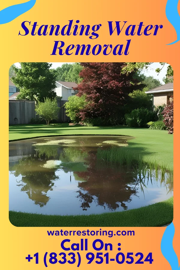 Standing Water Removal in Windsor, IL